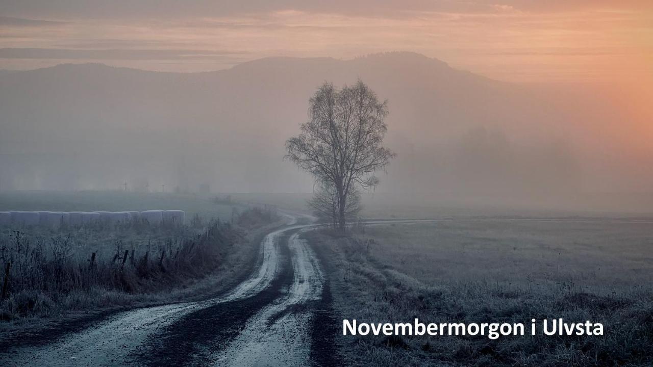 Nyrenoverat Boende I Vackra Jaervsoe Jarvso Exterior foto