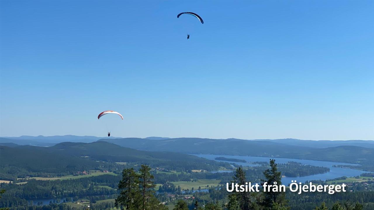 Nyrenoverat Boende I Vackra Jaervsoe Jarvso Exterior foto
