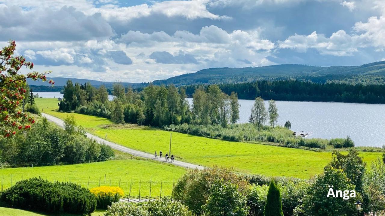 Nyrenoverat Boende I Vackra Jaervsoe Jarvso Exterior foto